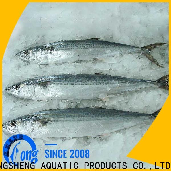 Latest frozen spanish mackerel fillets mackerel for seafood market