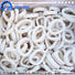 LongSheng bulk purchase frozen squid factory for restaurant