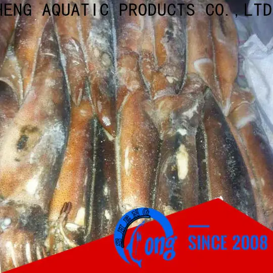 LongSheng chinese frozen whole uncleaned squid for sale Supply for restaurant