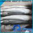 LongSheng New frozen grey mullet fish manufacturers for supermarket