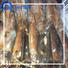 clean frozen baby squid for sale flowersquid Suppliers for cafeteria
