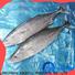 LongSheng bulk purchase frozen fish producers company for dinner