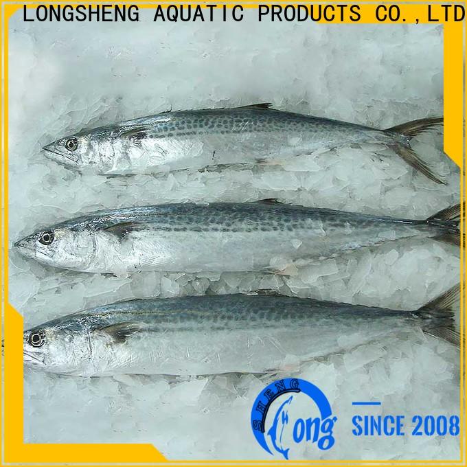 LongSheng roundfrozen frozen spanish mackerel for market