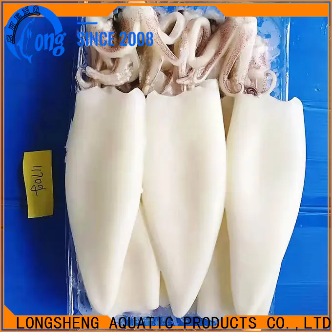 LongSheng Wholesale frozen squid export Supply for cafe