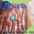 LongSheng argintinus frozen squid from china for cafeteria