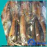 LongSheng Top frozen uncleaned squid for hotel