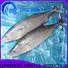 LongSheng frozen frozen skipjack tuna for family