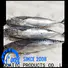 LongSheng hgt fish frozen for supermarket