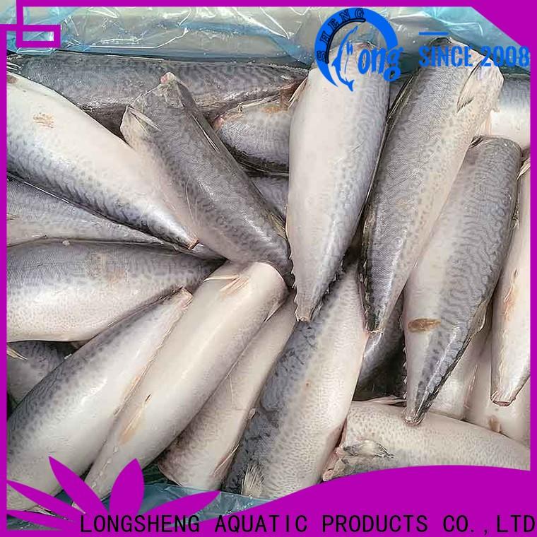 frozen mackerel suppliers mackerel for business