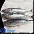 LongSheng frozen bonito fish prices for business for family