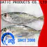 LongSheng whole frozen horsr mackerel wr manufacturers for restaurant