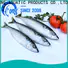 new landing mackerel frozen for business
