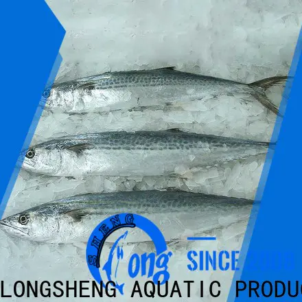 LongSheng roundfrozen frozen fish for sale for business for market