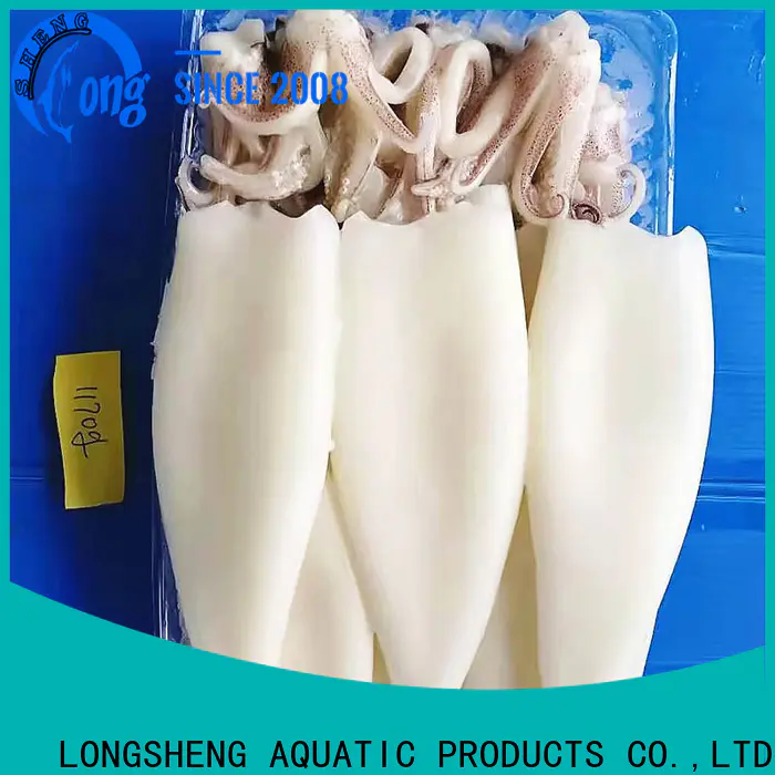 LongSheng loligo squid supplier for cafeteria