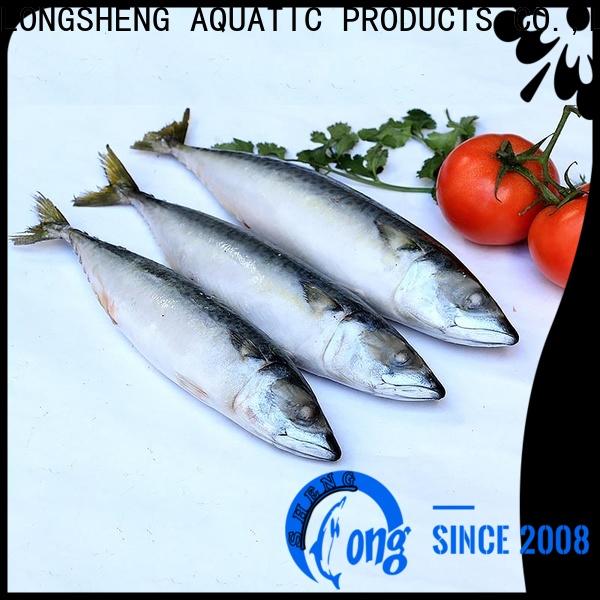 LongSheng Top whole frozen mackerel for sale
