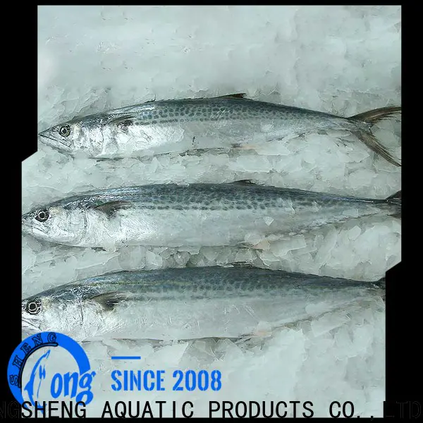 LongSheng sale frozen spanish mackerel manufacturers for supermarket