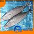 LongSheng tuna frozen albacore tuna price company for party