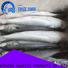 LongSheng Wholesale frozen fish supplier factory for market