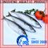 LongSheng frozen mackerel china