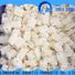 LongSheng bulk buy frozen whole uncleaned squid manufacturers for restaurant