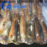 LongSheng tt frozen whole uncleaned squid manufacturers for cafe