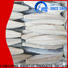 wholesale frozen spanish mackerel whole round sale for business for seafood shop