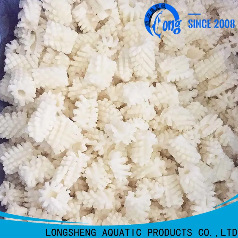 High-quality frozen squid price chinese company for cafeteria