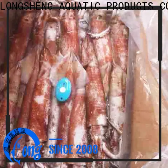 LongSheng New frozen whole uncleaned squid for sale for cafe