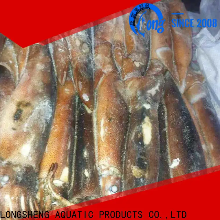 LongSheng bulk purchase frozen squid whole factory for restaurant