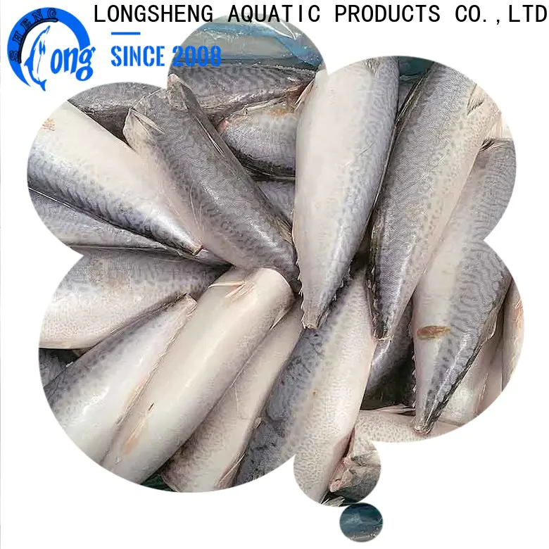 LongSheng good quality new landing mackerel