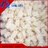Top frozen uncleaned squid round Suppliers for cafe