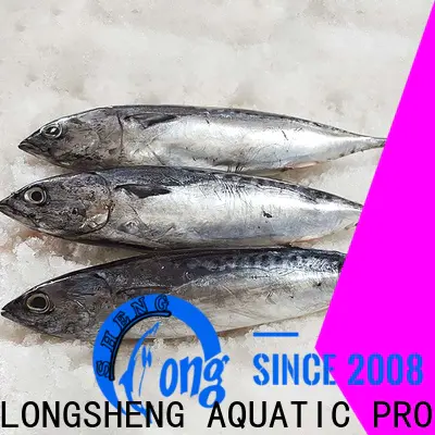 security bonito for sale fish for seafood shop