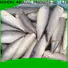 LongSheng fishfrozen frozen mackerel fillets suppliers for business