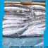 clean frozen seafood exporter saurycololabis Suppliers for hotel