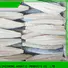 delicious frozen fish spanish mackerel whole for seafood market