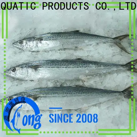 LongSheng Latest spanish mackerel fish price company for supermarket