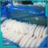LongSheng fish frozen uncleaned squid manufacturers for cafeteria