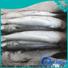 High-quality frozen grey mullet grey Supply for market