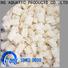 LongSheng frozen squid loligo suppliers tt manufacturers for hotel