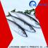 High-quality frozen fish fillets suppliers fillet factory for restaurant