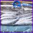 Top frozen seafood china saurycololabis manufacturers for cafe