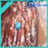 New frozen squid wholesale tubetentacle） company for restaurant
