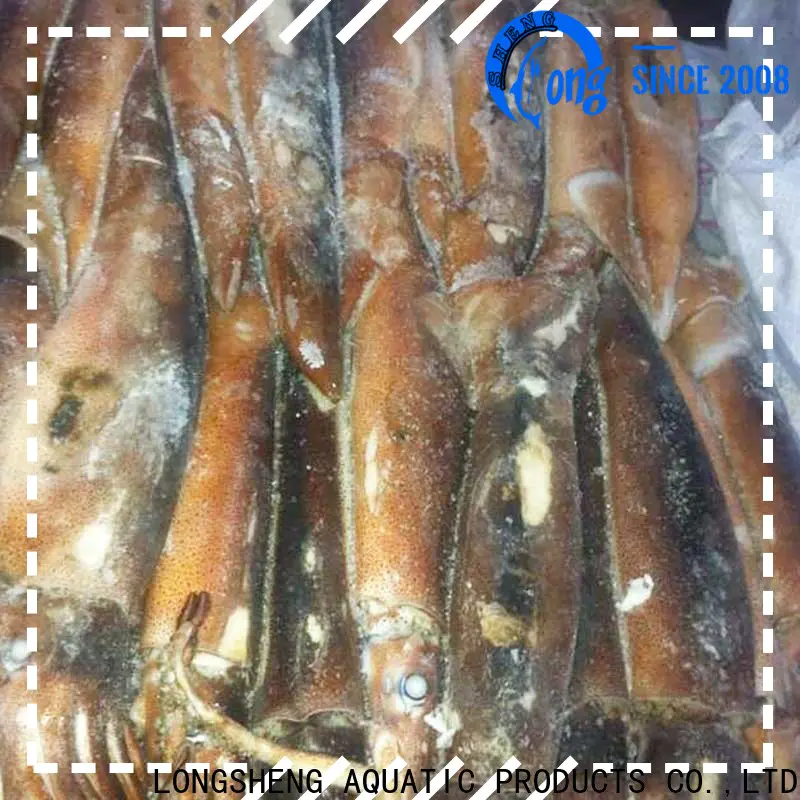 LongSheng Top frozen baby squid for sale Suppliers for hotel