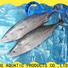 LongSheng tuna frozen bonito tuna sale Supply for party