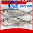 LongSheng frozen fish fillets supplier frozen Supply for hotel